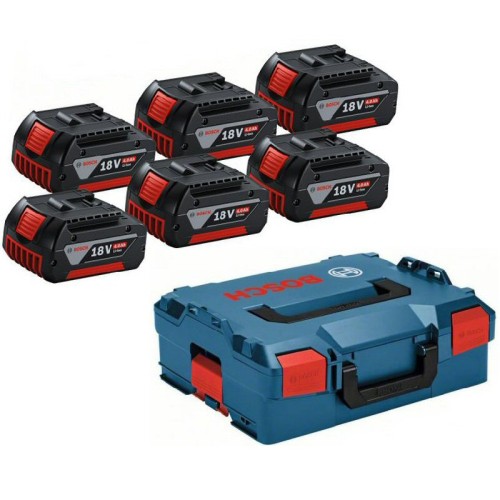 Bosch 1600A02A2S Battery Kit